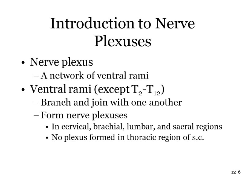 12-6 Introduction to Nerve Plexuses Nerve plexus A network of ventral rami  Ventral